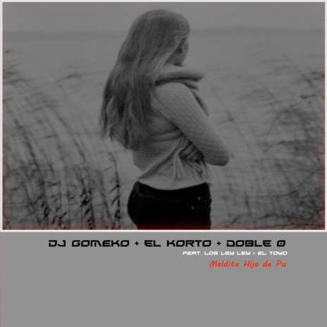 Maldita Hija de Pu ft. Doble 0, Dj Gomeko, El Toyo & Los Ley Ley