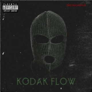 Kodak Flow