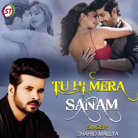 Tu Hi Mera Sanam (Hindi) | Boomplay Music
