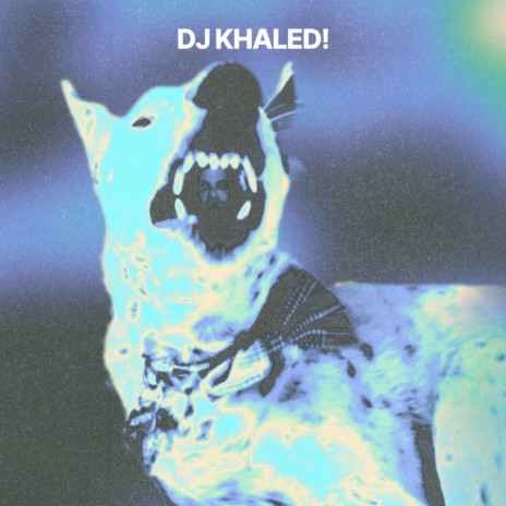 DJ KHALED!