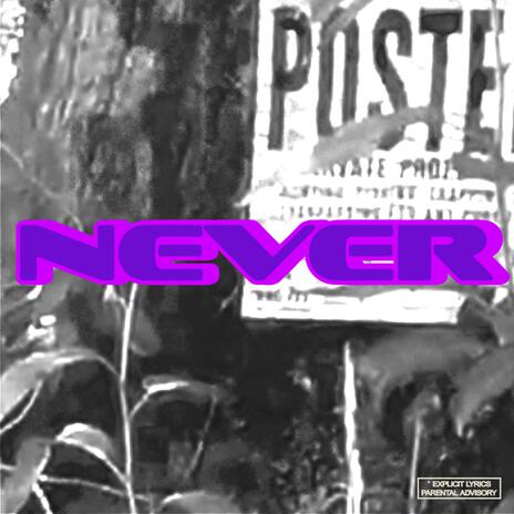 NEVER | Boomplay Music