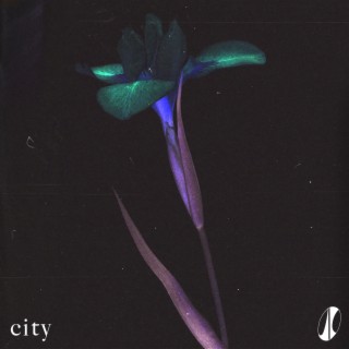city lyrics | Boomplay Music