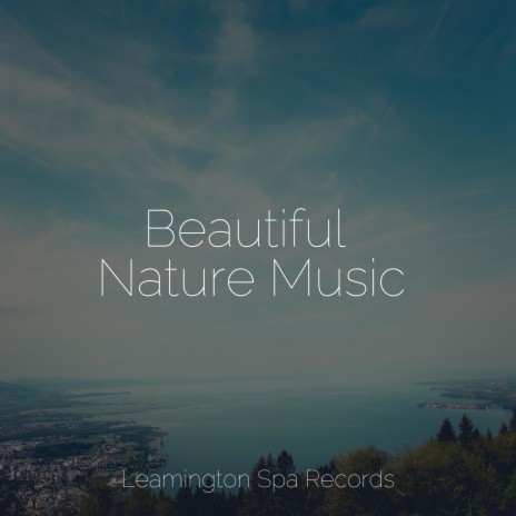 Music for Meditation and Relaxation | Boomplay Music