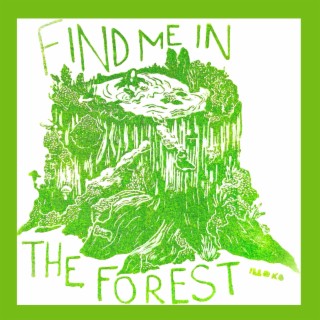 Find Me in the Forest