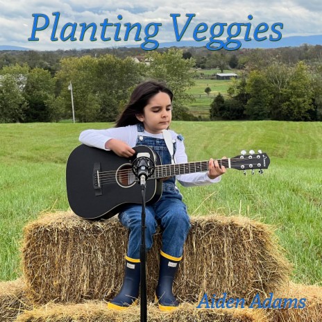 Planting Veggies | Boomplay Music