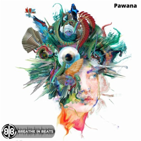 Pawana ft. Hernan Suarez, Orlando Alvarez & Ale Vayu | Boomplay Music