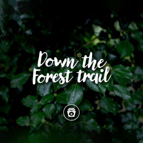 Rain Forests ft. Nature Recordings | Boomplay Music
