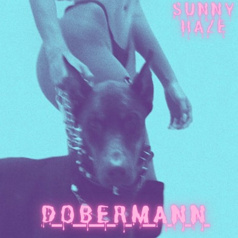 Dobermann | Boomplay Music