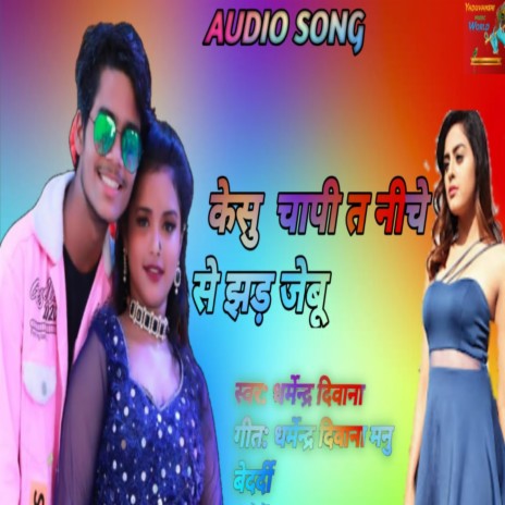 Kehu Chapi T Neeche Se Jhar Jaibu | Boomplay Music