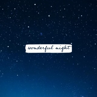 Wonderful Night (Meditation)