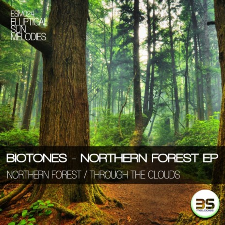 Northern Forest | Boomplay Music