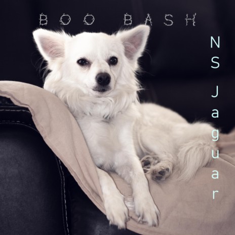 Boo Bash Thunderdome VIP (Radio Edit) | Boomplay Music