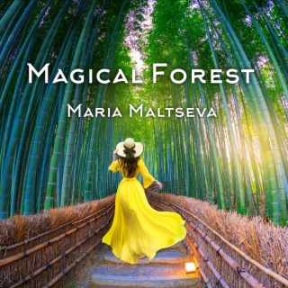 Magical Forest