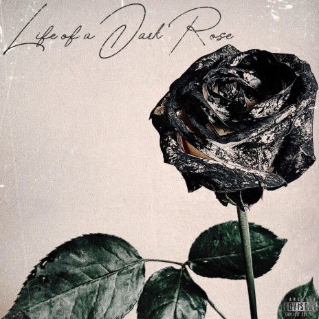 Life of a Dark Rose ft. yakwtfgo & Lil Sketchbook | Boomplay Music