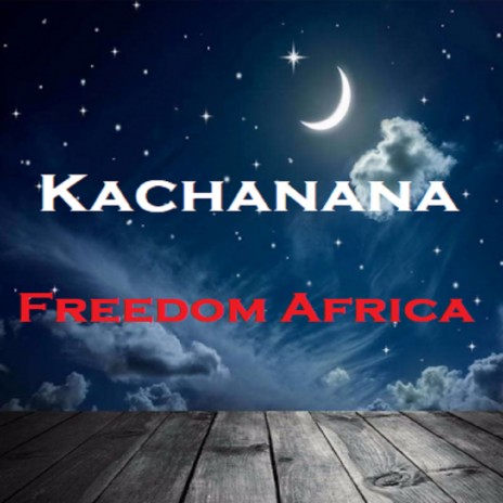 Freedom Africa | Boomplay Music