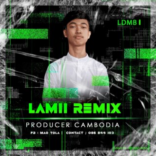 La Mii Remix, Vol. 1