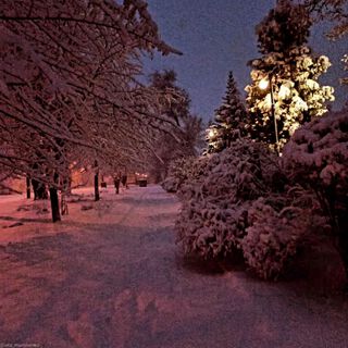 Скуреное сердце