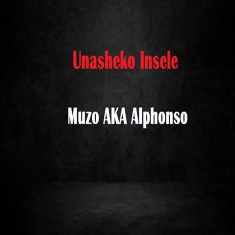 Unasheko Insele | Boomplay Music