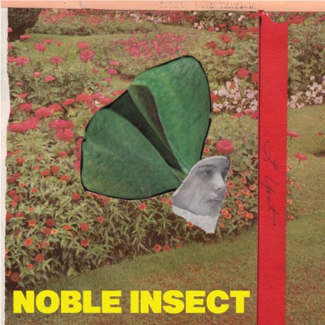 Noble Insect | Boomplay Music