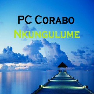 Nkungulume