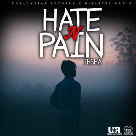 HATE N PAIN ft. UnrulyStar Records & Disaster Music | Boomplay Music