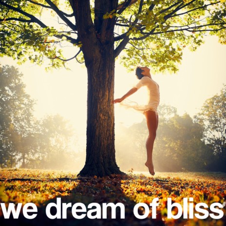 we dream of bliss | Boomplay Music