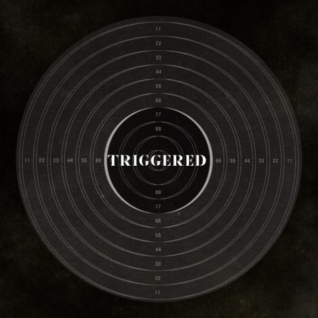 Triggered ft. Hustle Standard | Boomplay Music