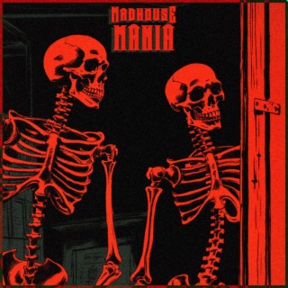 MADHOUSE MANIA lyrics | Boomplay Music