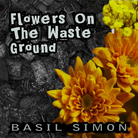 Basil Simon Bring Me Hope MP3 Download Lyrics Boomplay