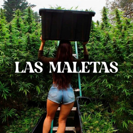 Las Maletas | Boomplay Music