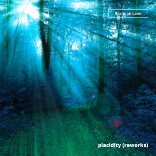 Placidity (Reworks)