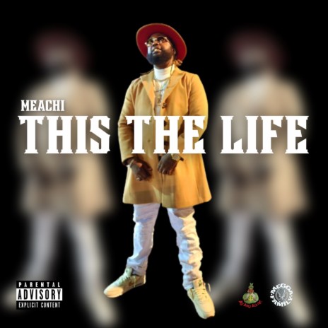 This the Life | Boomplay Music