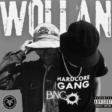 WOLLAN | Boomplay Music