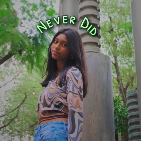 Never Did | Boomplay Music