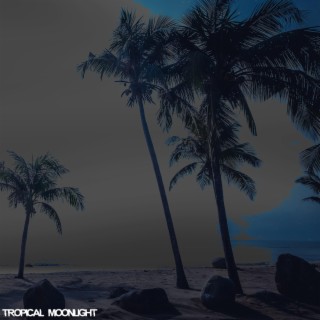 Tropical Moonlight (Reloaded)