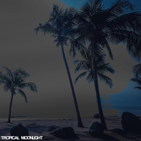 Tropical Moonlight (Reloaded) | Boomplay Music