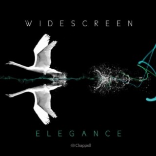 Widescreen Elegance