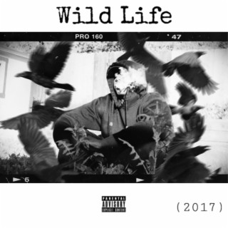 Wild Life (2017)