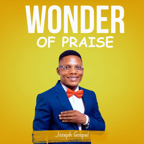 Wonder of praise | Boomplay Music