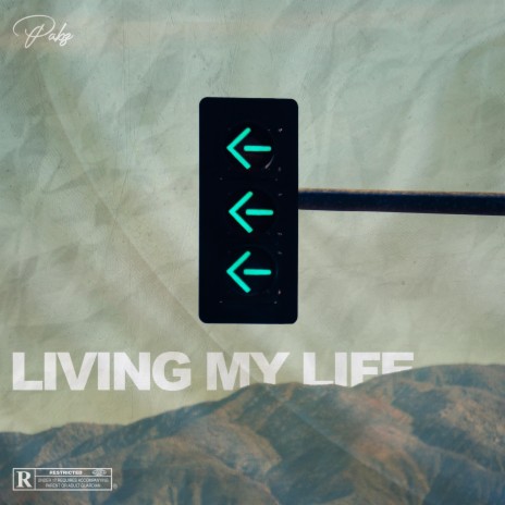 Living My Life | Boomplay Music
