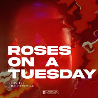 Roses On A Tuesday