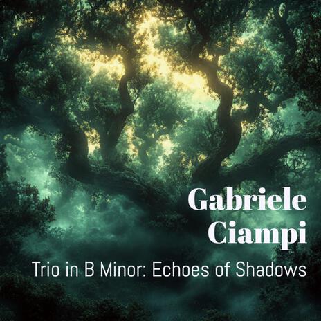 Trio in B Minor: Echoes of Shadows | Boomplay Music