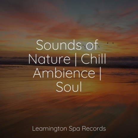 Ambient Sounds | Boomplay Music