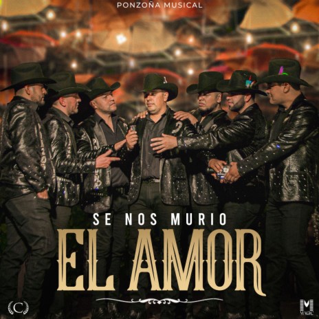 Se nos murió el amor | Boomplay Music