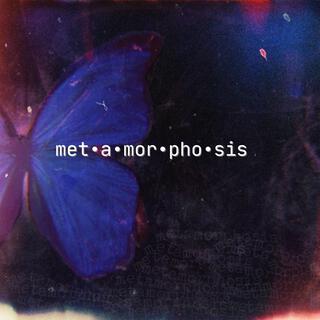 metamorphosis lyrics | Boomplay Music