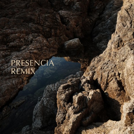 Presencia (Liam Fletcher Remix) | Boomplay Music