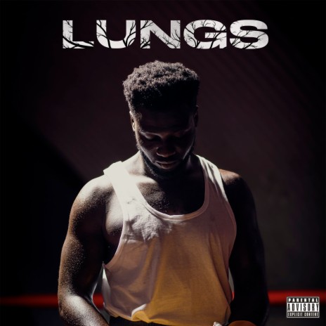 Lungs | Boomplay Music