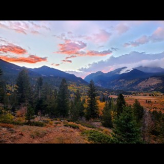 Yellow Rose (Live at Rocky Mountain National Park)