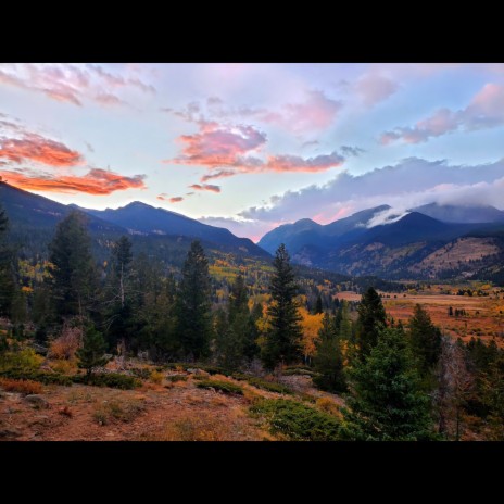 Yellow Rose (Live at Rocky Mountain National Park) | Boomplay Music