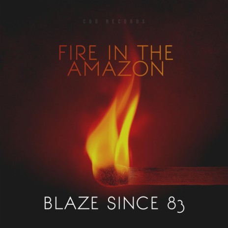 Fire in the Amazon | Boomplay Music